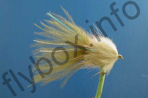 Stewart's Olive Millionaire Taddy